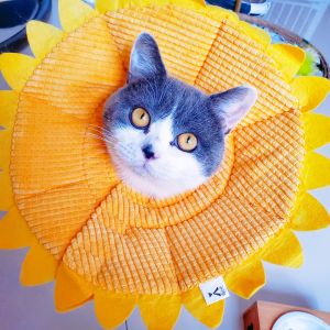 Pet Cat Soft Elizabeth Ring Cartoon Cute Cat Bandana Cat Head Cover Dog Anti-Scratch Anti-Licking Anti-Bite Ring Shame Ring
