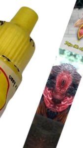 thuố.c gà đá - nhỏ mắt - đau mắt - 1 LỌ.sưng mắt - chảy nước mắt - đục giác mạc.nhỏ măt vàng.sán mắt.bọt mắt gà.