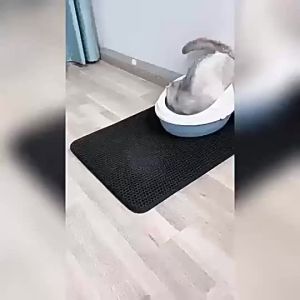 แผ่นดักทรายแมว พรม ดักทรายแมว EVA ขนาด ใหญ่ แผ่นรองทราย รอง ทรายแมว (พร้อมส่งค่ะ) CW22