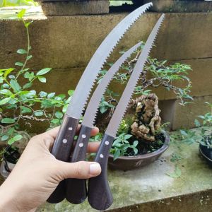 Paket gergaji Bonsai mini SQ super tajam siap pakai