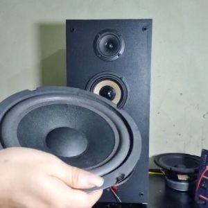 LOA BASS 20 JBL GÂN MÚT BASS RẤT ẤM KARAOKE CỰC HAY