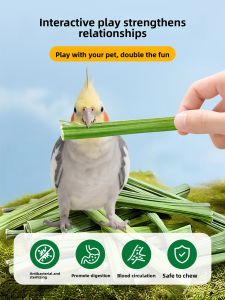 VOA | Parrot Teething Toy Chew Stick