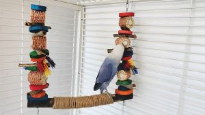 🇸🇬 Natural Rope and Wood Bird Swing Parakeet Chew Toy