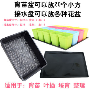 Nursery Basin Black Square Succulent Plant Storage Leaf Inserting Basin S5 Sowing Stewed Lid Tray Storage Box