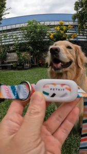 PETKIT Smart Pet Activity Monitor for Cats ปลอกคอที่คุณต้องการสัมผัสการฝึกสำหรับสัตว์เลี้ยงเชื่อมต่อแอพได้