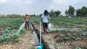 Máy bơm xuồng - bơm thuyền tưới cây thả nổi 4 thì Z-kubota