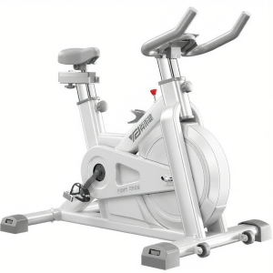 YINGERJIAN | Electromagnetic Smart Indoor Fitness Bike