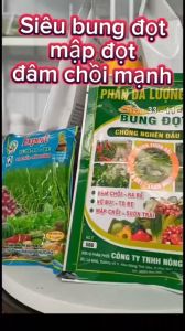 (50gam) Phân bón lá 33-11-11: siêu bung đọt kích mập đọt đâm chồi mạnh bung chồi