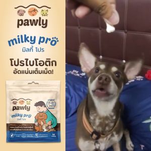 Pawly Milky Pro นมแพะอัดเม็ดเสริมโปรไบโอติกและพรีไบโอติก สำหรับสัตว์เลี้ยง ขนาด 80 กรัม (50 เม็ด)