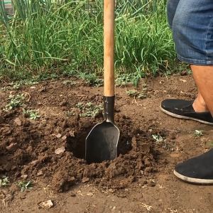 Luoyang Shovel Digging for Soil,Agricultural tools Half round shovel probing shovel,digging up seed