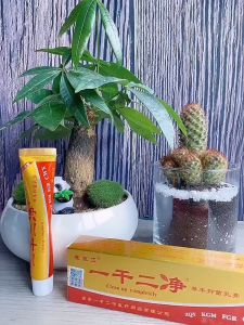 Original Psoriasis Treatment Ointment Herbal Eczema Cream 20G/ 一干二净乳膏/淡黄色草本乳膏 一干二净 抑菌药膏 快速止痒