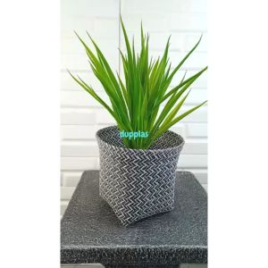 Tanaman Hias Daun Kucai X1 Semi Latex & Pot Dasar Hitam + Cover Purun Sintetis