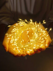 BEAUTY IN THE LIGHT | Decorative Copper Wire Firecracker Lights for Home and Room Decoration