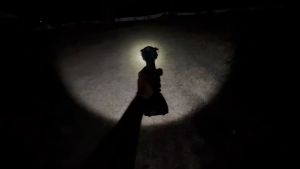 Total ไฟฉาย LED แบตเตอรี่ 20 โวลท์ รุ่น TWLI2038 ( Li-Ion work lamp )  270 ลูเมน