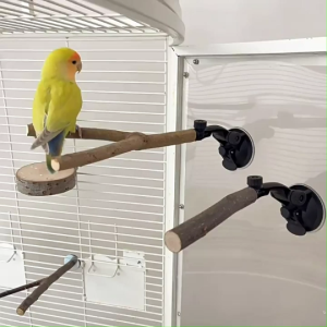 🇸🇬 Parrot Perch Stand for Windows: Anti-Slip Interactive Bird Swing Toy