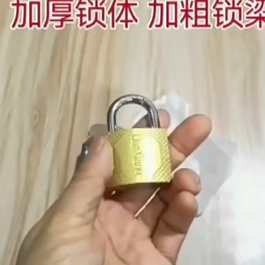 Heavy Duty 20/32/50mm Brass Padlock Security Lock Small Door Lock Short Shackle Iron Pad Lock Solid Luggage Lock