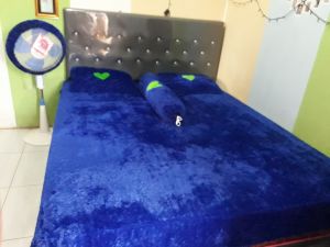 SEPRAI BULU RASFUR LEMBUT TANPA SARUNG BANTAL/GULING(SEPRAI AJA)