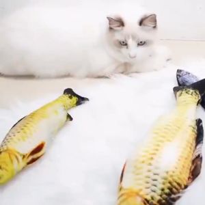 Mainan Kucing Bentuk Ikan Dan Catnip Mainan Boneka Tahan Gigitan