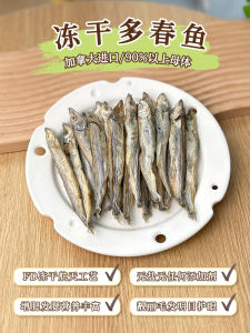 Nutritious Dried Spring Fish Snacks for Dogs And Cats Weight Gainer Facial Development Beautiful Hair No Additives Training Rewards