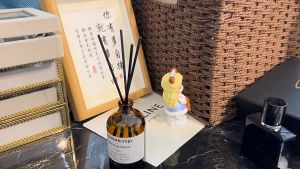 TOP HOME PH 2025 Living Room and Bed Room Aromatheraphy Essential Oil 100ml home fragrance diffuser souvenir Graduation Gift