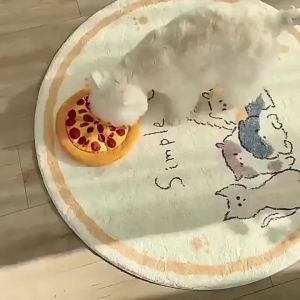 Plush Doughnut Pizza Squeaky Dog Toy For Small Medium Large Dogs Teeth Clean Chew Toy Safe Puppy Supplies For Aggressive Chewers
