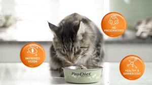 ProDiet Box 12 Pcs Makanan Kucing Basah Pouch 85g