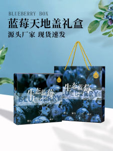 Blueberry Gift Packing Box 0.60kg kg High-End Creative Blueberry Gift Box Box Fruit Packaging Carton Wholesale