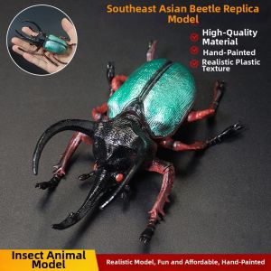 Educational Simulation Insect Model