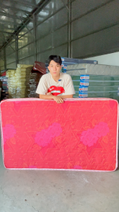 Nệm Gấp 2 Vật Liệu PE Chắc chắn Bền bỉ Nhiều kích thước 1m4 1m6 1m8 dày 7cm 10cm 12cm