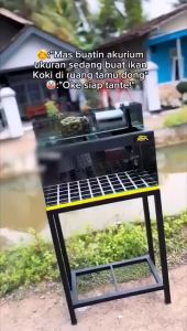 Stiker Dasar Akuarium Kotak & Sticker Skotlet Background Aquarium 50x61