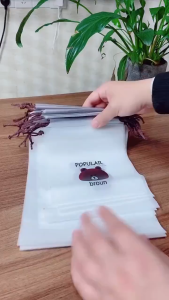 Bear Storage Aesthetic Bag Drawstring Frosted Gif Packaging Clothing Travel