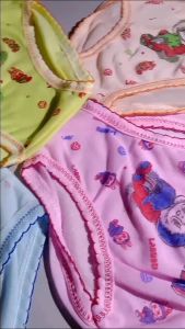 Paket isi 12 Pcs Cd Celana Dalam Anak Gambar Labubu Terbaru Usia 1-6 Tahun 2025