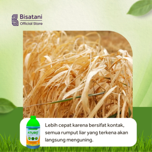 Aturo 1 Liter Pembasmi Rumput Cepat Mati Obat Gulma Rumput Liar