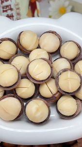 Mr.Squirrel Roasted Macadamia Nuts Ready to Eat 500g Unsalted Healthy Snacks Free Opener