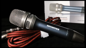 RAYHAYES RD-1 Heavy Duty Wired dynamic microphone Professional All Metal platinum classic Handheld MIC for videoke Karaoke Singing streaming