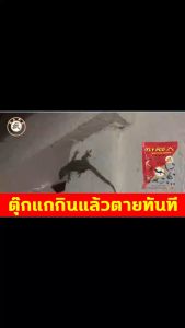 🦎กําจัดจิ้งจกทั้งหมดในบ้าน🦎 ยาฆ่าจิ้งจก100g ขับไล่จิ้งจก 100%  ยาฆ่าจิ้งจก  ยาฆ่าจิ้งจกตาย จิ้งจกชอบกลิ่น เหยื่อที่มีประสิทธิภาพ ใช้งานง่าย  นําเข้าจากสหรัฐอเมริกา ครีมกำจัดจิ้งจก จิ้งจกกินเข้าไปจะตายทันที  ยาฆ่าตุ๊กแก  ยากำจัดจิ้งจก Gecko Killer