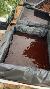 ชุดกล่องโฟม พร้อมถาดไดโซะ ชุดกล่องโฟมพร้อมถาดไดโซะ ชุดพร้อมปลูกผักไฮโดรโปนิกส์