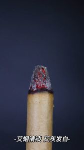 Non toxic Natural Dried Wormwood Leaves Burners Repel Mosquito for Outdoor