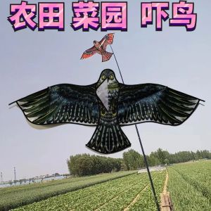 🔥品质 精选🔥Small Eagle kites childrens flying toys kites drive birds scare birds artifact小型老鹰风筝儿童易飞玩具风筝驱鸟赶鸟吓鸟神器风筝批发买一送一as7