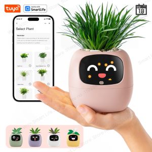 NEW Tuya Ivy"Gen 2"Smart Plant RobotIvy Plant pet  Robot100+ EmojisMatte Gift BoxTech GiftMake Raising Plants Easy and Fun