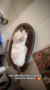 Oval Cat Scratcher Plus-Size Scratching Pad For Big Cat Durable Scratch Board Pet Bed Cat Toy