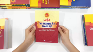 Sách - Luật Thi Hành Án Dân Sự ( Sửa đổi bổ sung năm 2014 2048 2020 2022 2024 ) - ndbooks