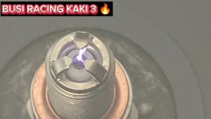 BUSI RACING KAKI 3 GL PRO MEGA PRO TIGER THUNDER 250 SCORPIO | BUSI RACING D8