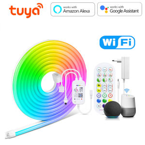 Tuya RGB LED Strip Neon Tape 12V Smart Bluetooth/WiFi APP Voice Control Lamp Ribbon Room Wall Decor for Tuya/Alexa/Google Home