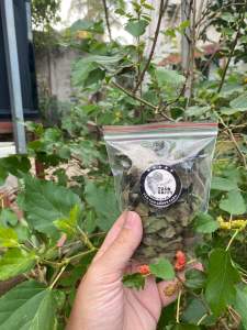 Lá dâu tằm sấy khô - Thức ăn cho tép cảnh bổ sung dinh dưỡng chất xơ kích thích lên màu