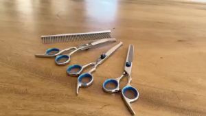Professional 4-in-1 Dog & Cat Grooming Scissors Kit with Safety Round Tips Sharp Durable Dog Shears Includes Straight Curved Thi