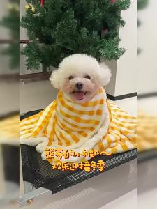 hipidog | Pet Sleeping Pad Warm Winter Cat Use