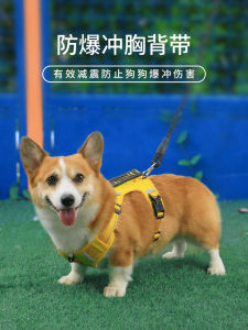 Dây Thừng Chó Hình Áo Vest Chống Nổ Cho Chó Cưng Trung Bình Dây Thừng Chó Đi Bộ Cho Chó Cưng Nhỏ Dây Thừng Chó Kéo Cho Chó Cưng