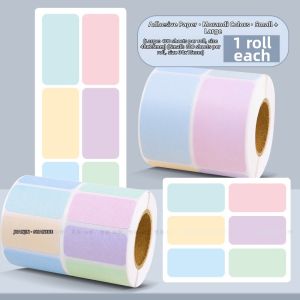 DISCO BEAR | Writtable Classification And Labeling Stickers