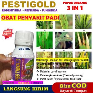 OBAT PENYAKIT PADI AMPUH PESTIGOLD 250ML Fungisida Organik Hayati Obat Busuk Buah Akar dan Batang Bercak Daun Rebah Semai Patek Layu Fusarium Akar Bengkak Virus Gemini Penyakit Kresek Blas Sundep pada Tanaman Padi Paling Manjur TERLARIS
